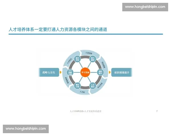 以企业人才战略为核心驱动构建高质量发展的人才管理与组织能力体系